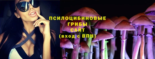 мдма Козельск