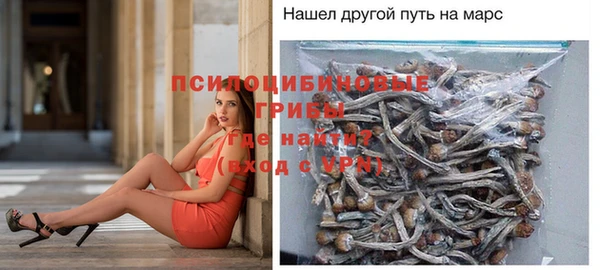 прущие крисы Киренск