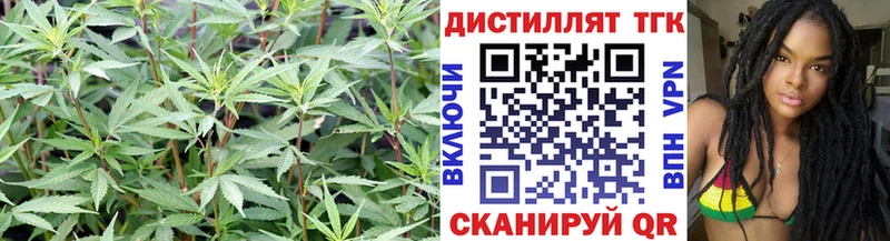 Дистиллят ТГК концентрат  Мариинский Посад 