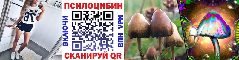 Псилоцибиновые грибы Magic Shrooms  Мариинский Посад 